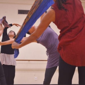 Summer Institute (by application only)